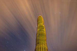 Image post by @cramirez.photography on Instagram