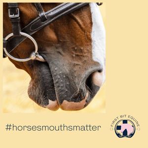 Image post by @first_bit_equine_ on Instagram