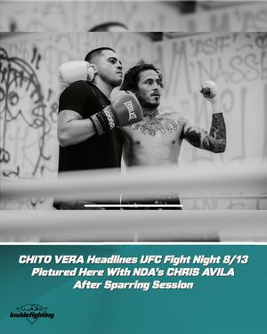 Image post by @insidefighting on Instagram