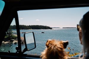 Image post by @themainemag on Instagram