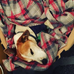 Image post by @snaffle_it on Instagram