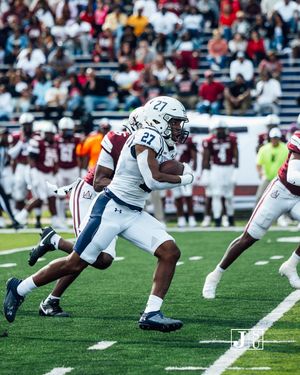 Image post by @gojsutigersfb on Instagram