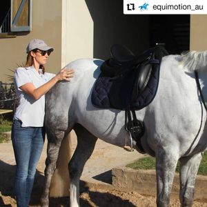 Image post by @performancesaddlefitssthsydney on Instagram