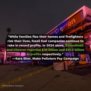 Image post by @greenpeaceusa on Instagram