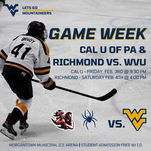 Image post by @wvuhockeyd2 on Instagram