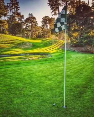 Image post by @pebblebeachresorts on Instagram