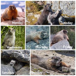 Image post by @nationalparkservice on Instagram
