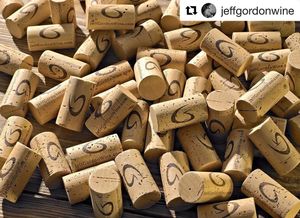 Image post by @jeffgordonweb on Instagram