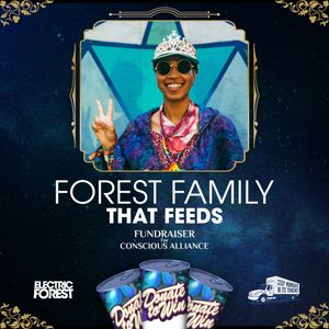 Image post by @electric_forest on Instagram