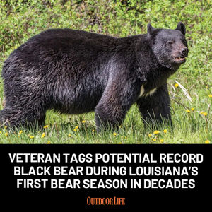 Image post by @outdoor_life on Instagram