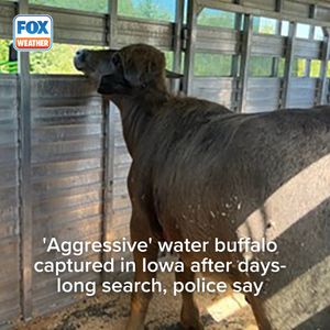 Image post by @foxweather on Instagram