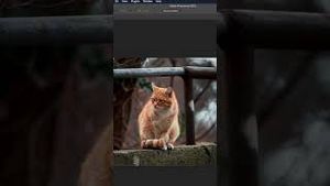 Video post by @photoshop on YouTube
