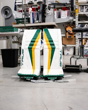 Image post by @truetempergoalie on Instagram