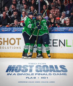 Image post by @fl_everblades on Instagram