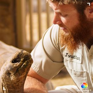 Image post by @animalplanet on Instagram