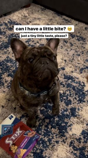 Video post by @bluebuffalo on Instagram
