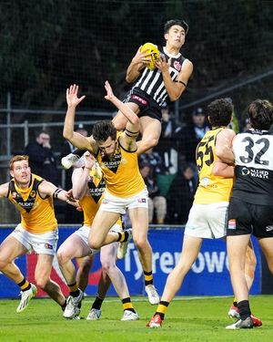 Image post by @afl on Instagram