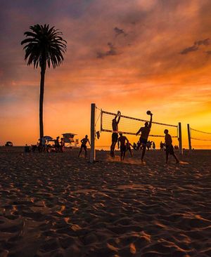 Image post by @sdsuadmissions on Instagram