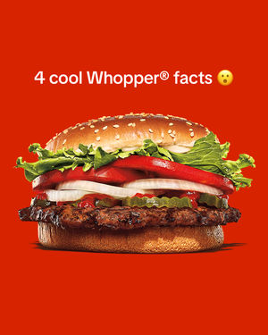 Image post by @burgerking on TikTok