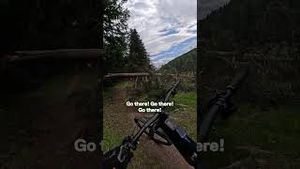 Video post by @gopro on YouTube