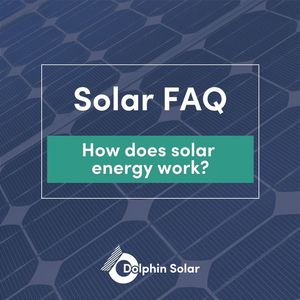 Image post by @DolphinSolarProject on Facebook