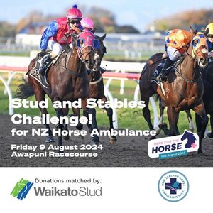 Image post by @nzhorseambulancetrust on Facebook