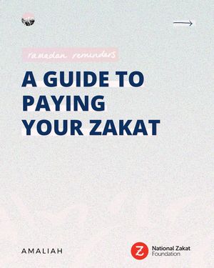Image post by @amaliah_com on Instagram
