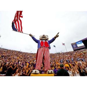Image post by @lsumiketiger on Instagram