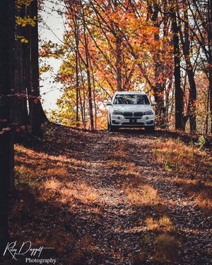 Image post by @rileydaggettcreative on Instagram