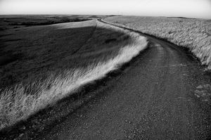 Image post by @jessebrunerphoto on Instagram