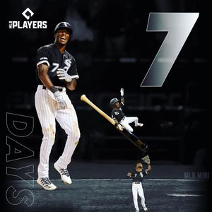 Image post by @mlb.mini on Instagram