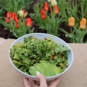 Image post by @forage_kitchen on Instagram