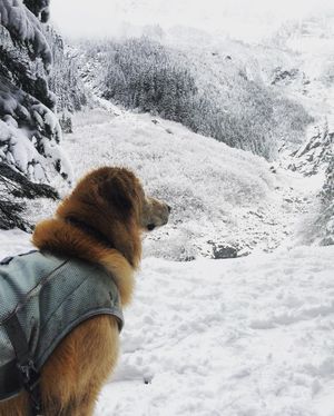 Image post by @amandakl on Instagram