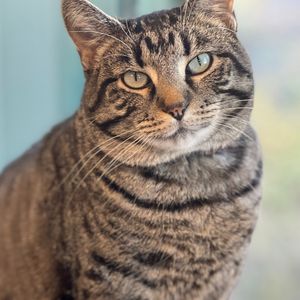 Image post by @whitmanpets on Instagram