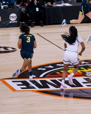 Image post by @umichwbball on Instagram