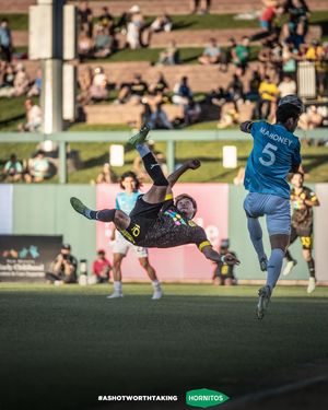 Image post by @newmexicoutd on Instagram