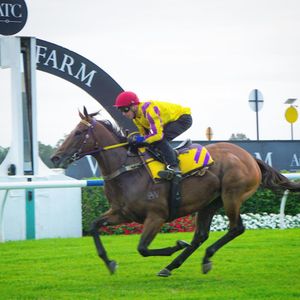 Image post by @australianturfclub on Instagram