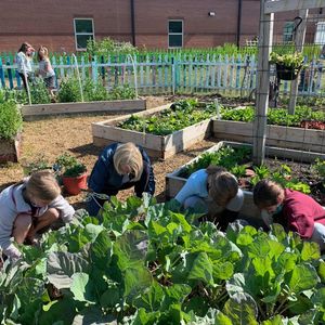 Image post by @kidsgardening on Instagram