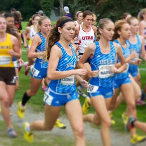 Image post by @uclaxc on Instagram