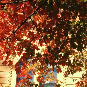 Image post by @nuschoolofcommunication on Instagram