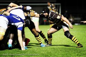 Image post by @sburugby on Instagram