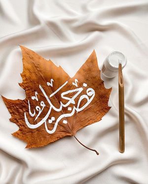 Image post by @amaliah_com on Instagram