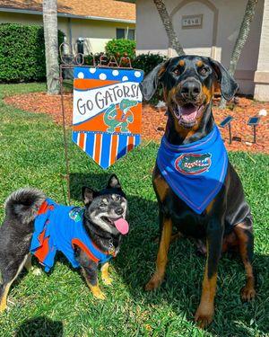 Image post by @barstoolflorida on Instagram