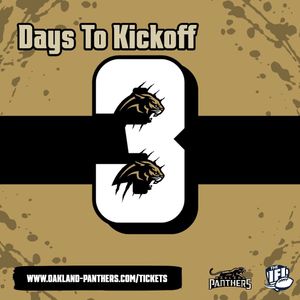 Image post by @panthersifl on Instagram