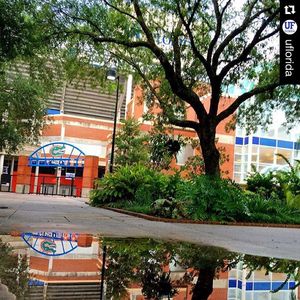 Image post by @floridagators on Instagram