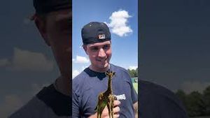 Video post by @Midland RockHounds on YouTube