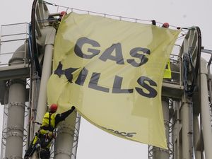 Image post by @greenpeace on Instagram