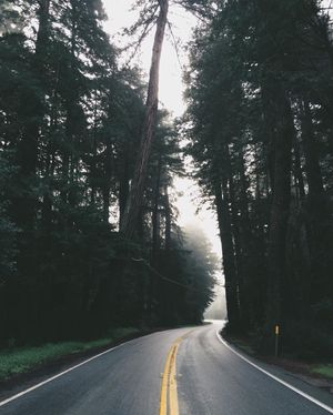 Image post by @zofeeagenota on Instagram