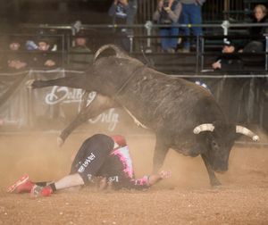 Image post by @bullfightersonly on Instagram