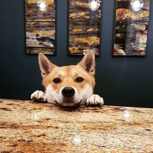 Image post by @bestwestern on Instagram
